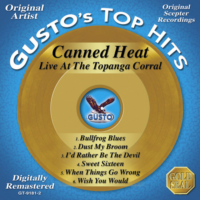 کاور آهنگ When Things Go Wrong از Canned Heat