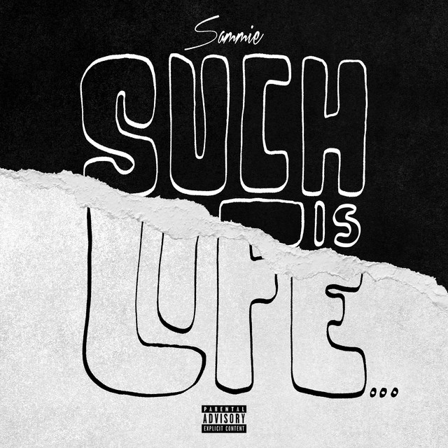 کاور آهنگ Where's the Lie (feat. Tank) از Tank, Sammie