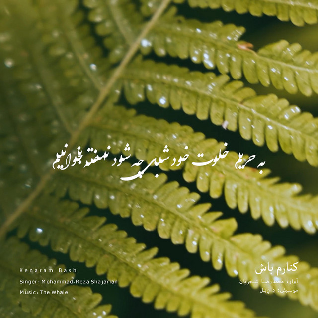 کاور آهنگ کنارم باش - بازآفرینی اثر محمدرضا شجریان از دِ وِیل