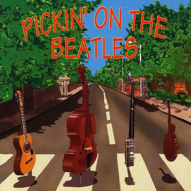 کاور آهنگ I Wanna Hold Your Hand از Pickin' On Series