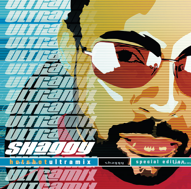 کاور آهنگ It Wasn't Me - The Cartel Mix از Shaggy