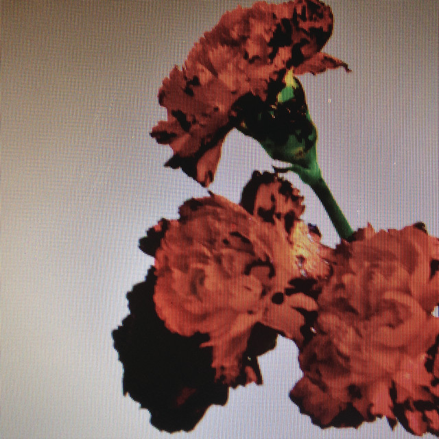 کاور آهنگ Made to Love - Friend Within Remix از John Legend, Friend Within