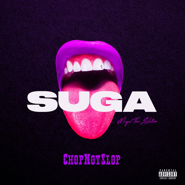 کاور آهنگ Stop Playing (feat. Gunna) (Chopnotslop Remix) از Gunna, Megan Thee Stallion, OG Ron C