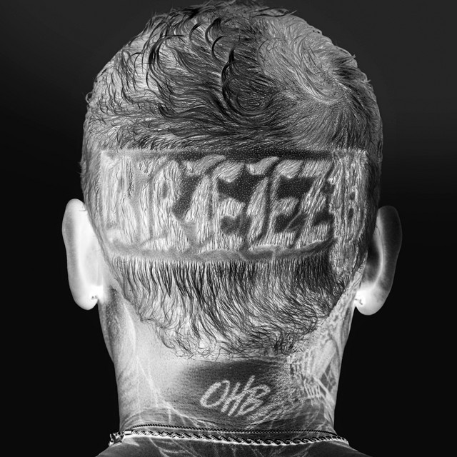 کاور آهنگ Harder از Chris Brown