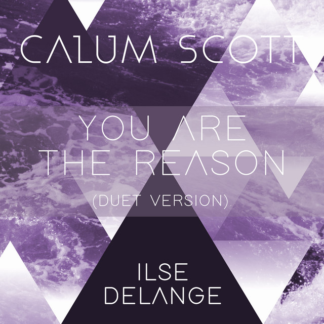 کاور آهنگ You Are The Reason - Duet Version از Calum Scott
