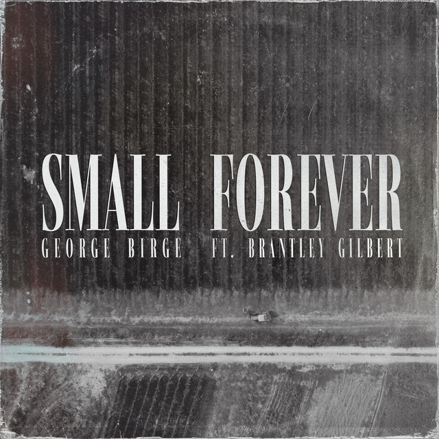 کاور آهنگ Small Forever (feat. Brantley Gilbert) از Brantley Gilbert, George Birge