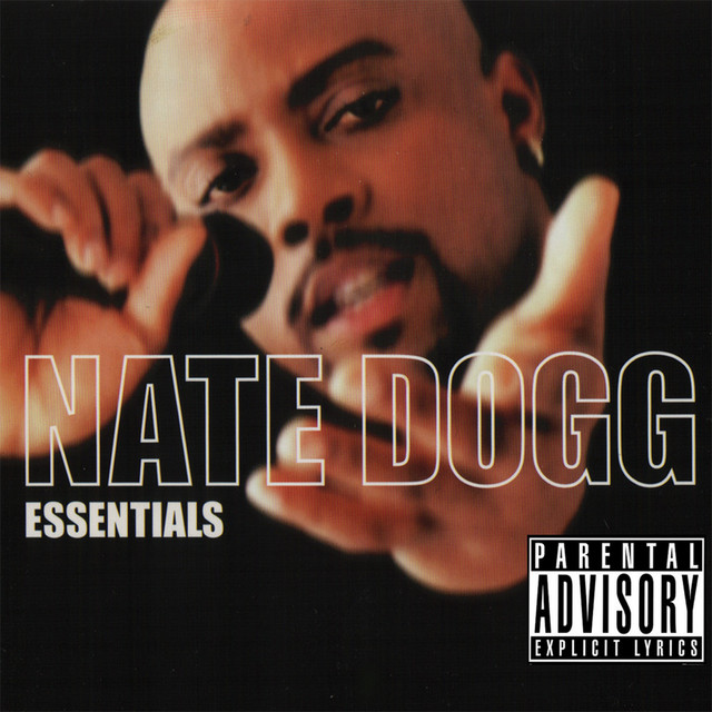 کاور آهنگ I Don't Wanna Hurt No More از Nate Dogg