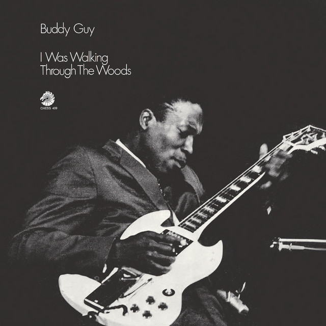 کاور آهنگ I Got My Eyes On You از Buddy Guy