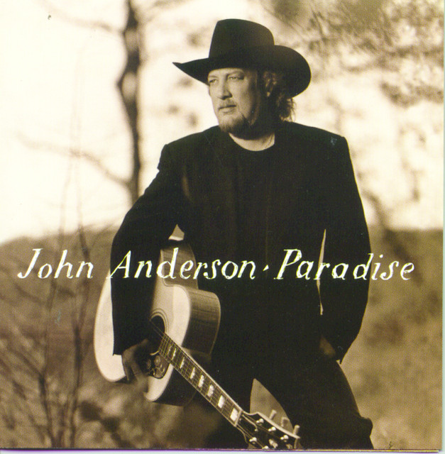 کاور آهنگ Let The Guitar Do The Talkin' از John Anderson