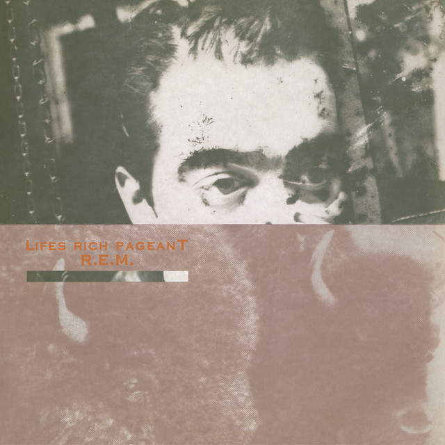 کاور آهنگ Swan Swan H - 2011 Remaster از R.E.M.