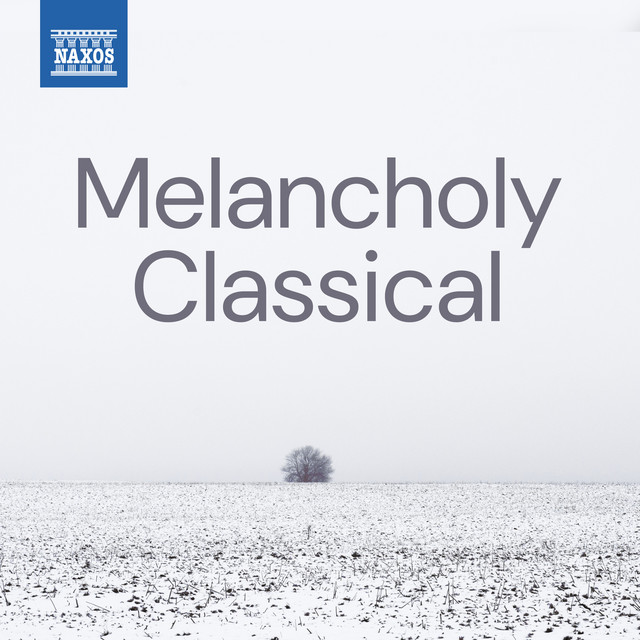 کاور آهنگ Prelude in E Minor, Op. 28 No. 4 از Frederic Chopin, Wolfgang Amadeus Mozart, Samuel Barber, John Field