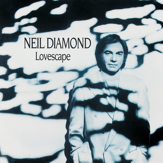 کاور آهنگ The Way از Neil Diamond