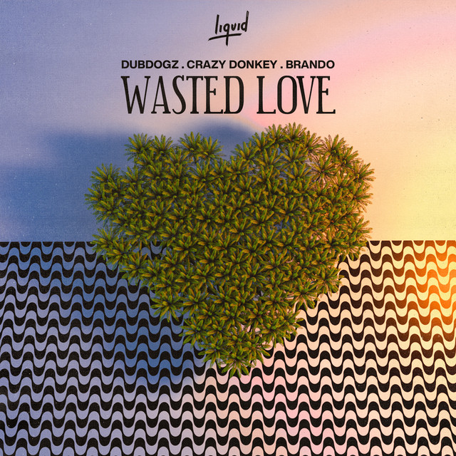 کاور آهنگ Wasted Love از Dubdogz, Brando, Crazy Donkey