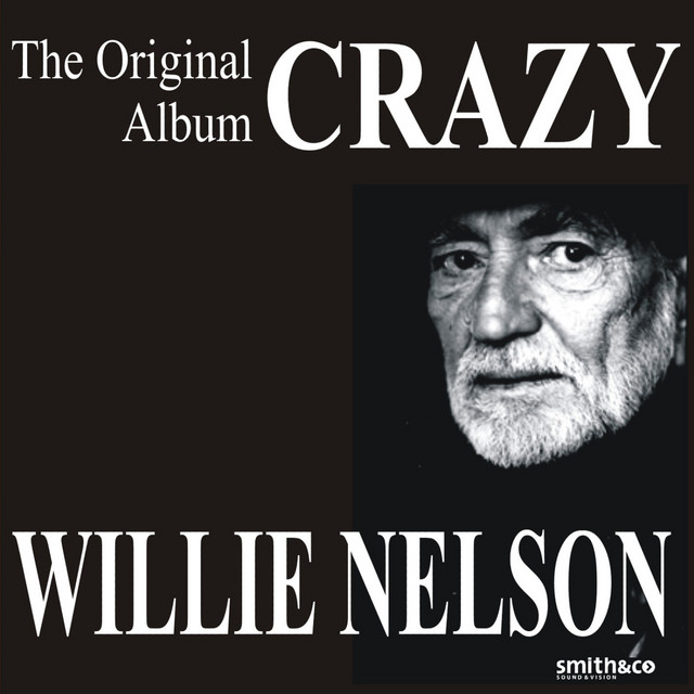 کاور آهنگ I've Just Destroyed The World (I'm Living In) از Willie Nelson