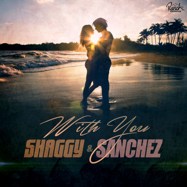کاور آهنگ With You (Radio Edit) از Shaggy