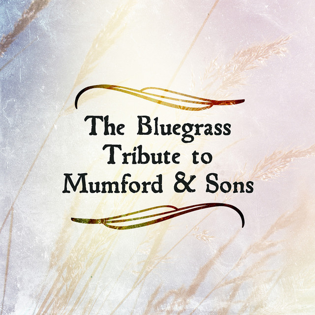 کاور آهنگ Winter Winds از Pickin' On Series