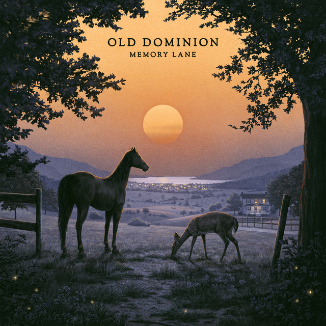 کاور آهنگ Sleep Without Drinking از Old Dominion