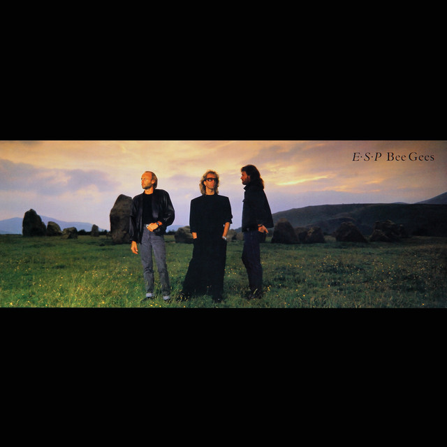 کاور آهنگ Overnight از Bee Gees