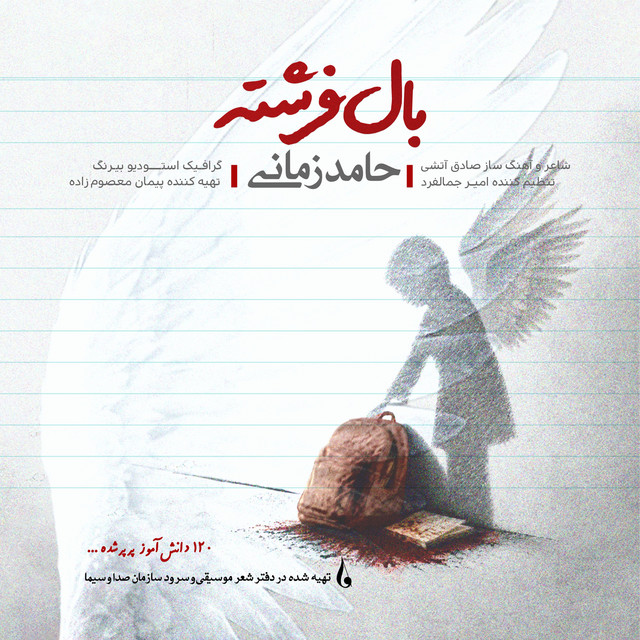 کاور آهنگ بال فرشته از حامد زمانی