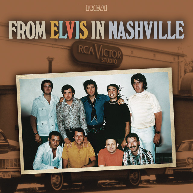 کاور آهنگ You Don't Have to Say You Love Me از Elvis Presley