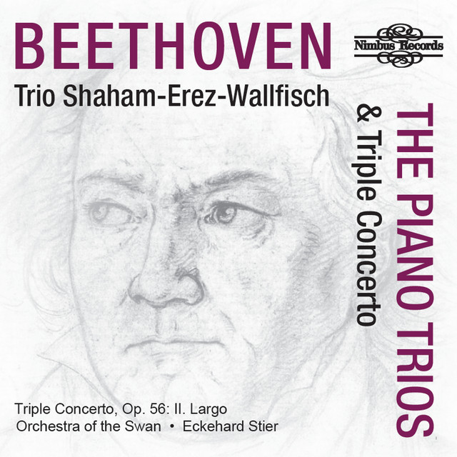 کاور آهنگ Triple Concerto in C Major, Op. 56: II. Largo از Ludwig van Beethoven