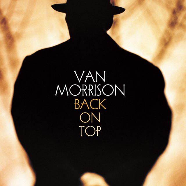 کاور آهنگ When the Leaves Come Falling Down (2008 Remaster) از Van Morrison
