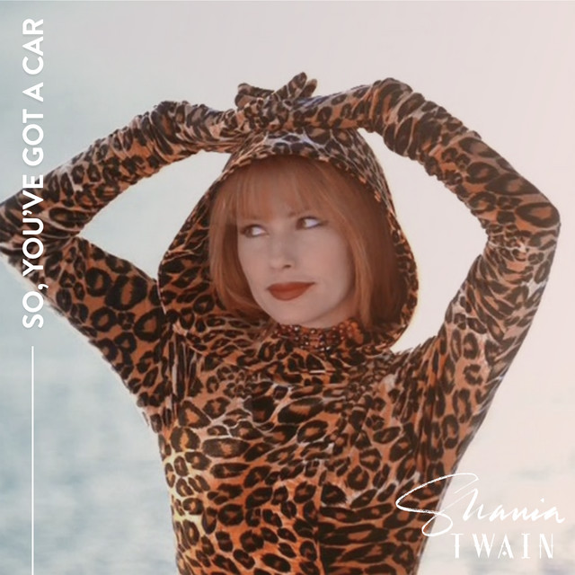 کاور آهنگ (If You're Not In It For Love) I'm Outta Here! از Shania Twain