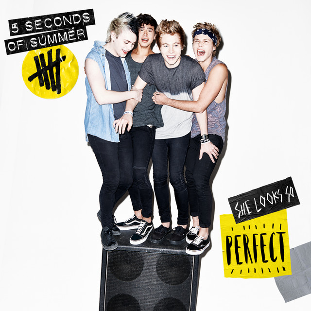 کاور آهنگ She Looks So Perfect - Mikey Demo Vocal از 5 Seconds of Summer