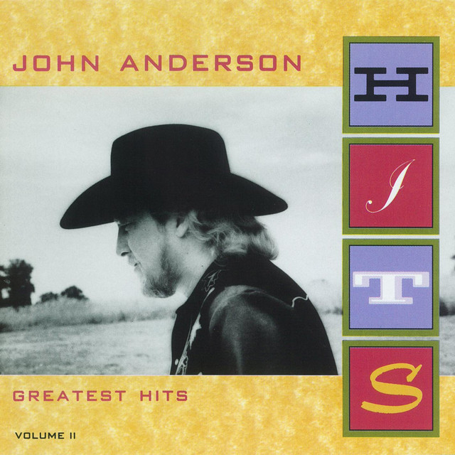 کاور آهنگ She Sure Got Away with My Heart از John Anderson