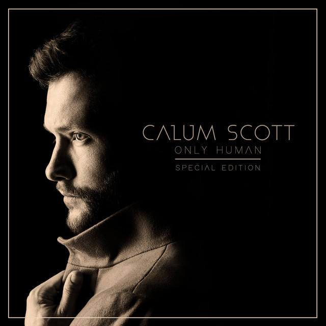 کاور آهنگ Won’t Let You Down از Calum Scott