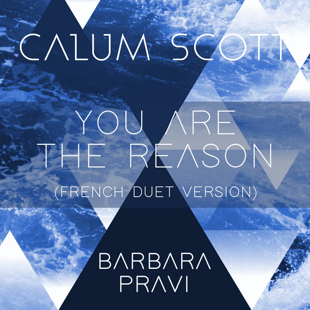 کاور آهنگ You Are The Reason - French Duet Version از Calum Scott