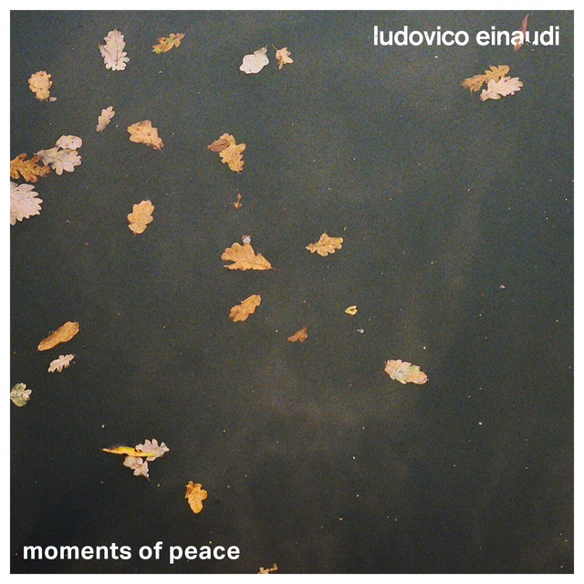 کاور آهنگ Seven Days Walking / Day 1: Ascent از Ludovico Einaudi