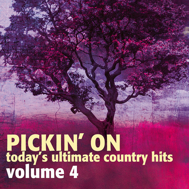 کاور آهنگ Flip Flop Summer از Pickin' On Series
