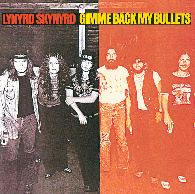کاور آهنگ Double Trouble از Lynyrd Skynyrd