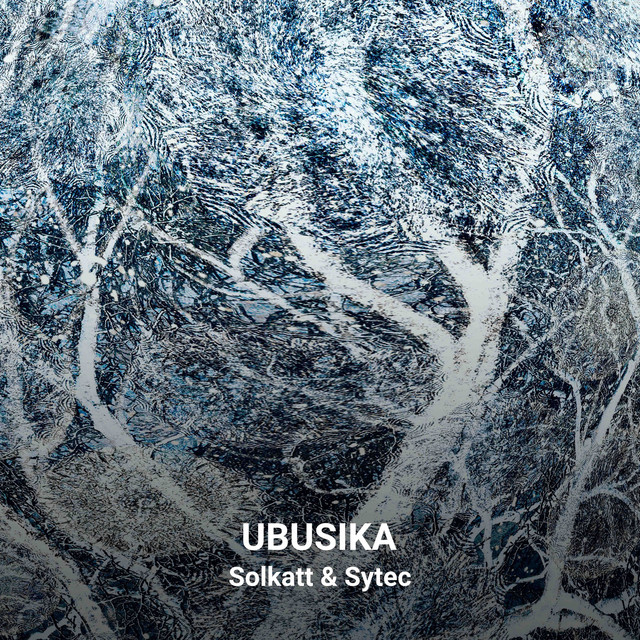 کاور آهنگ Ubusika از Solkatt