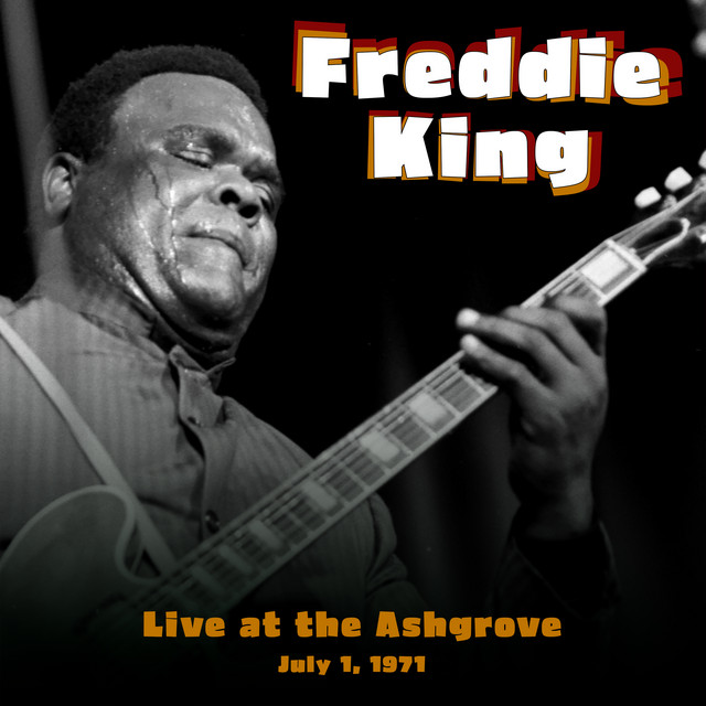 کاور آهنگ Ain't Nobody's Business What I Do از Freddie King
