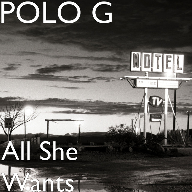 کاور آهنگ All She Wants از Polo G