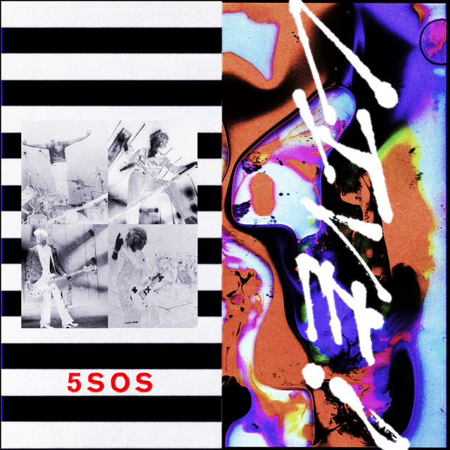 کاور آهنگ If Walls Could Talk - Live از 5 Seconds of Summer