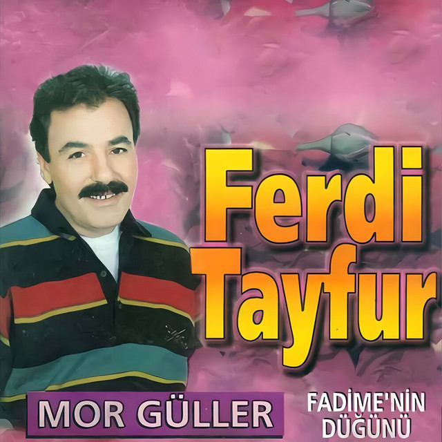کاور آهنگ Sana Ne از Ferdi Tayfur