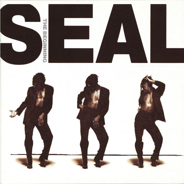 کاور آهنگ The Beginning - Single Remix از Seal