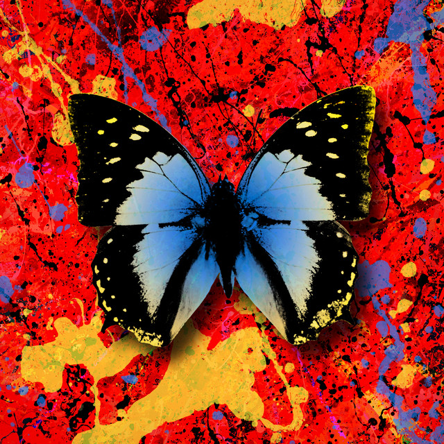 کاور آهنگ 2step (feat. Antytila) از Ed Sheeran, Antytila