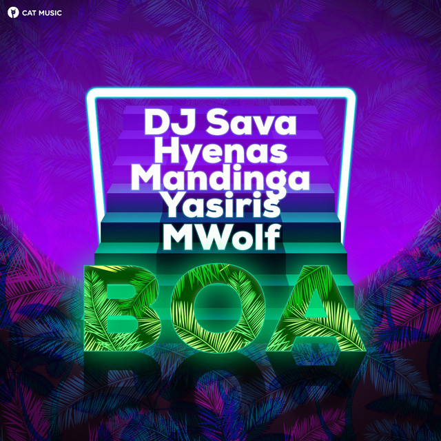 کاور آهنگ BOA از Dj Sava