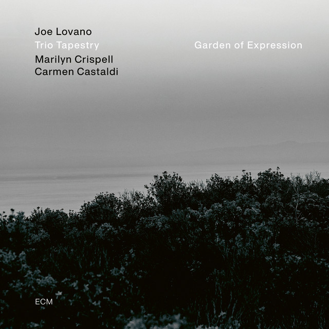 کاور آهنگ Garden of Expression از Joe Lovano