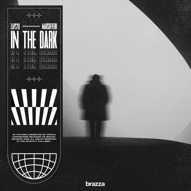 کاور آهنگ In The Dark - Extended Mix از ZapsyQ, MarsReverb