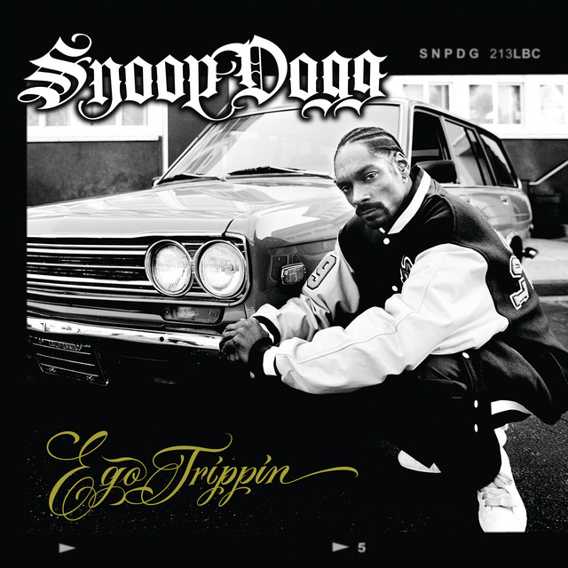 کاور آهنگ My Medicine از Snoop Dogg