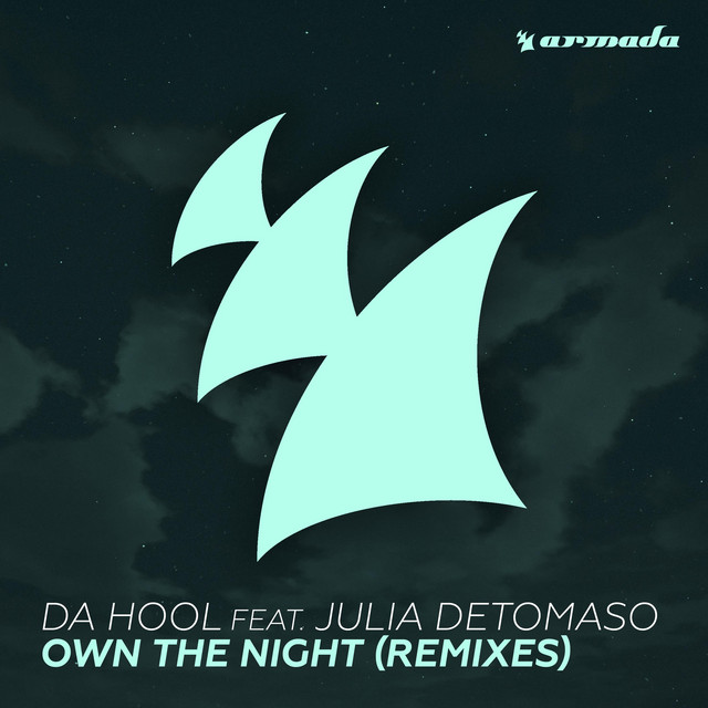 کاور آهنگ Own The Night - Cyborgs and Da Hool Remix از Da Hool, Julia DeTomaso, Cyborgs
