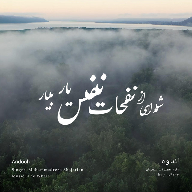 کاور آهنگ اندوه - بازآفرینی اثر محمدرضا شجریان از دِ وِیل