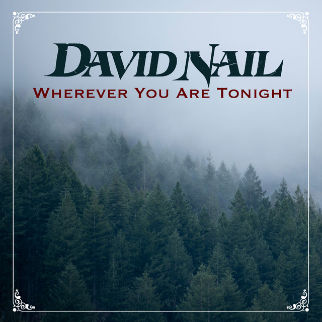 کاور آهنگ Sunset Carousel از David Nail