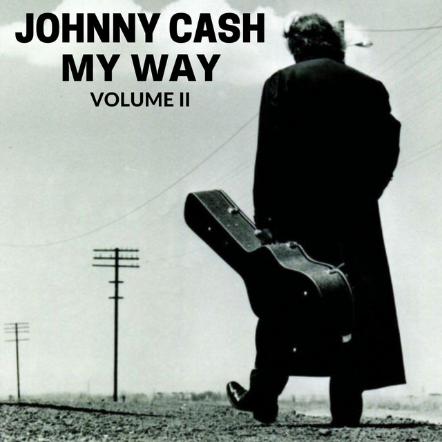 کاور آهنگ Drink to Me از Johnny Cash