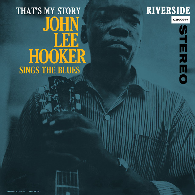 کاور آهنگ Democrat Man - Remastered 2026 از John Lee Hooker